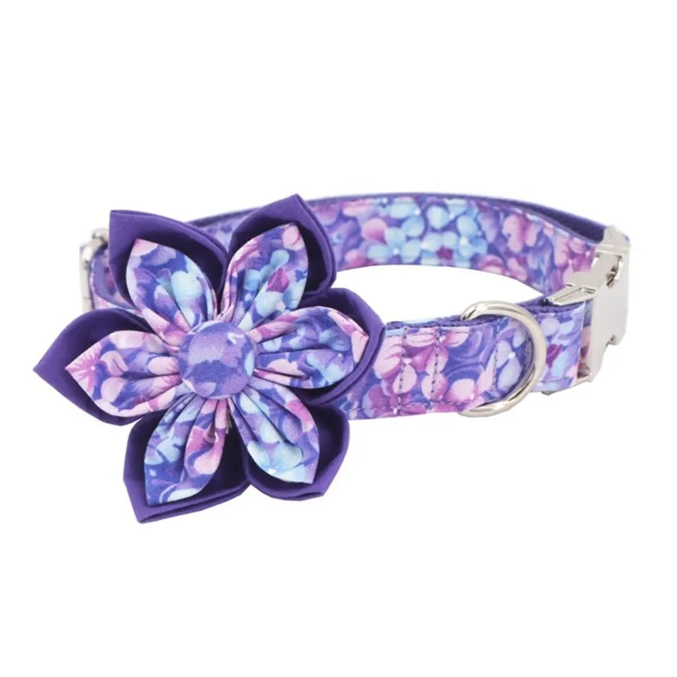 Cute Girl Dog Collar