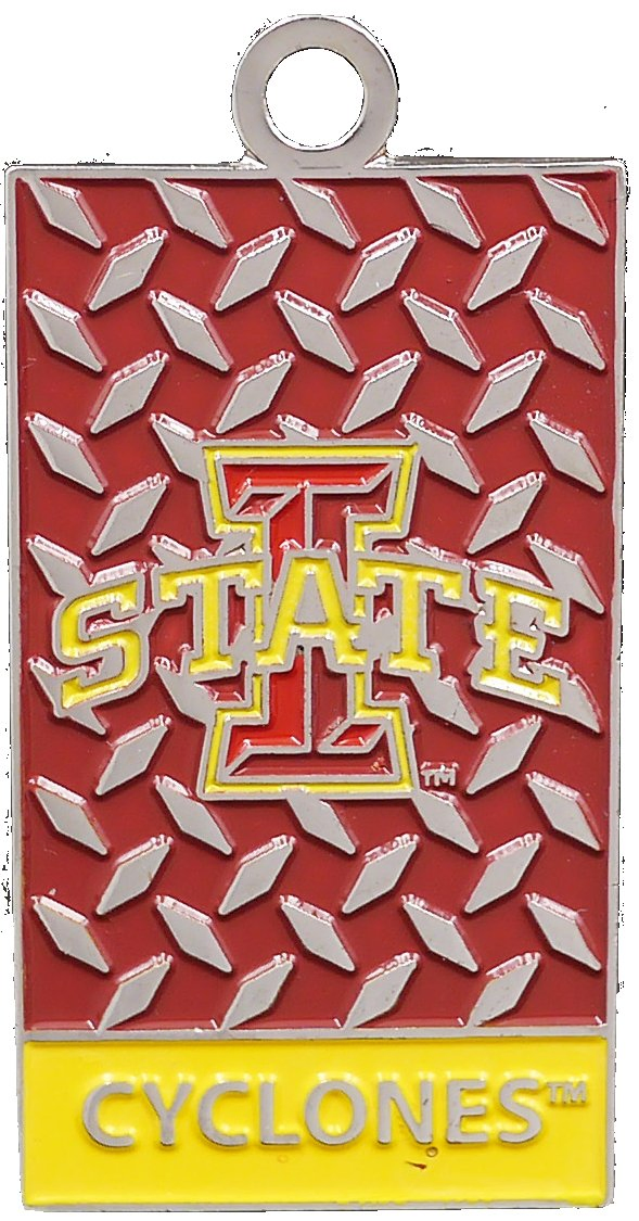 Pet Dog Necklace Clip-on Charm Pendant, Cat Dog Collar Tag Pendant with Clip for Key Ring