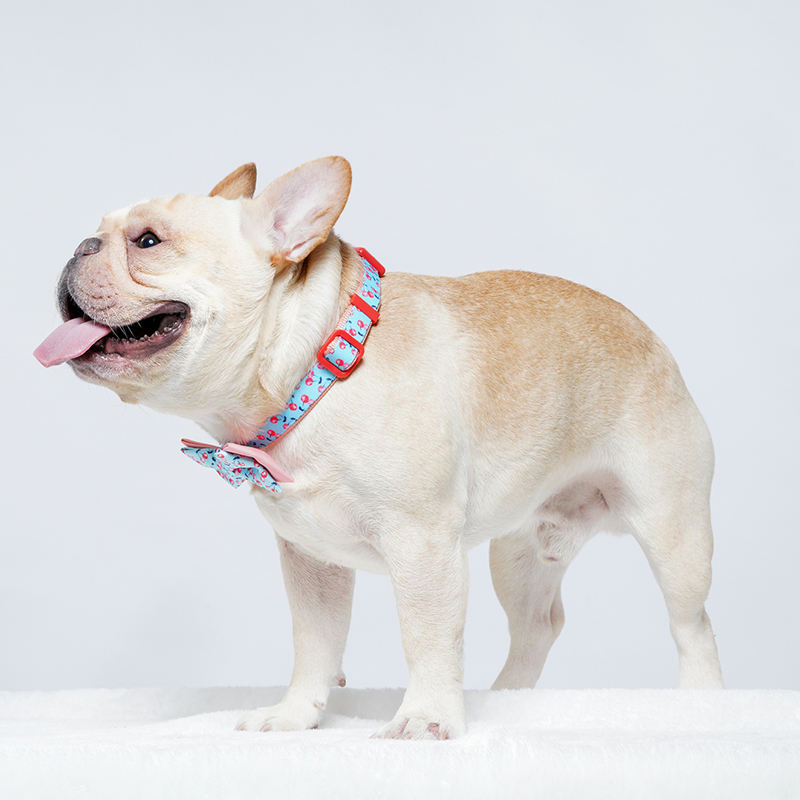 Hot Sale Adjustable Custom Pattern Pet Collar Soft Durable Print Dog Collar