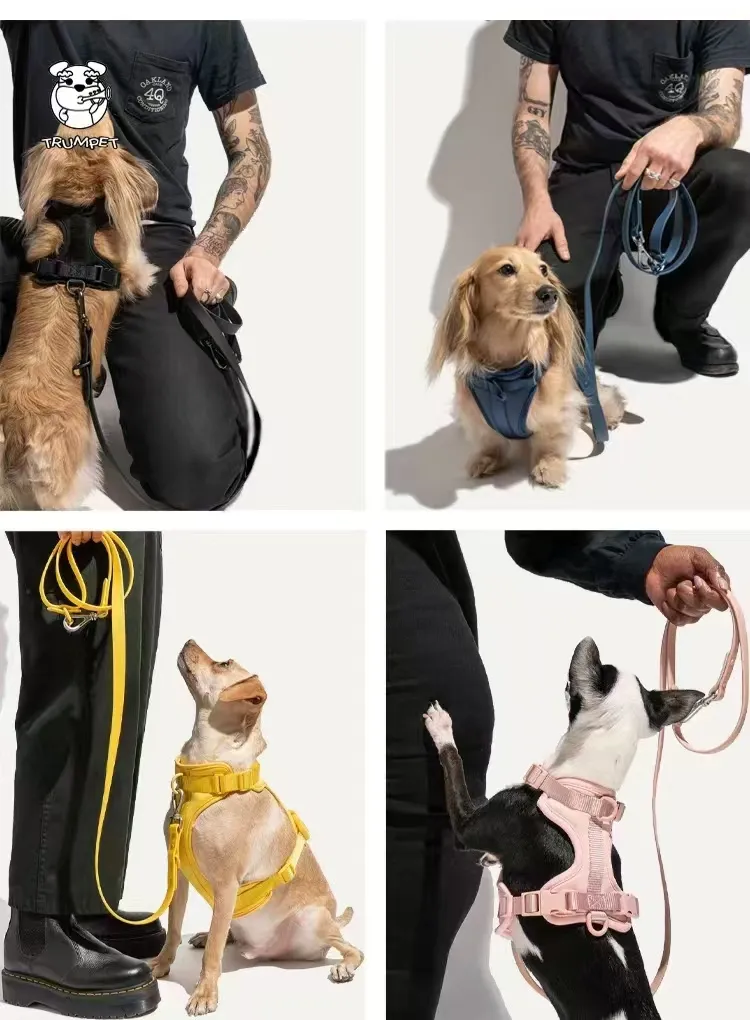 Adjustable Pet Collar