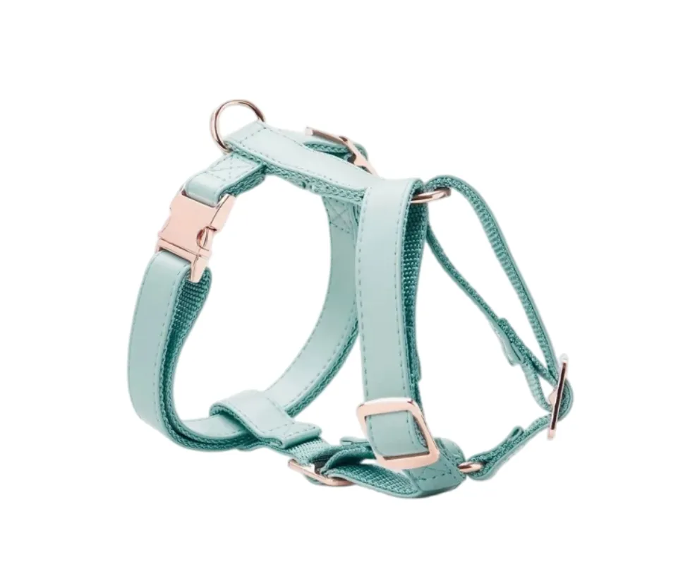 Elegant Dog Harness View 2