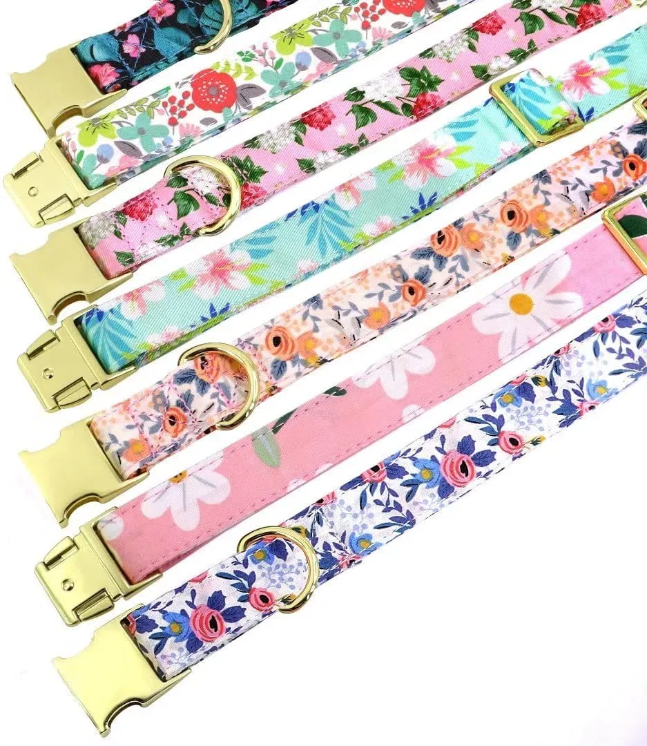 Dog Collar Pattern 2