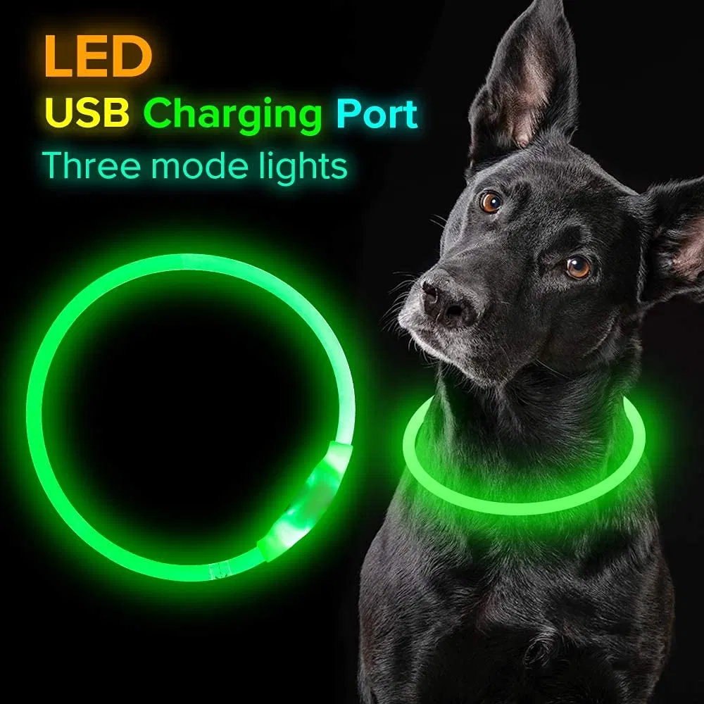 LED Dog Collar 4