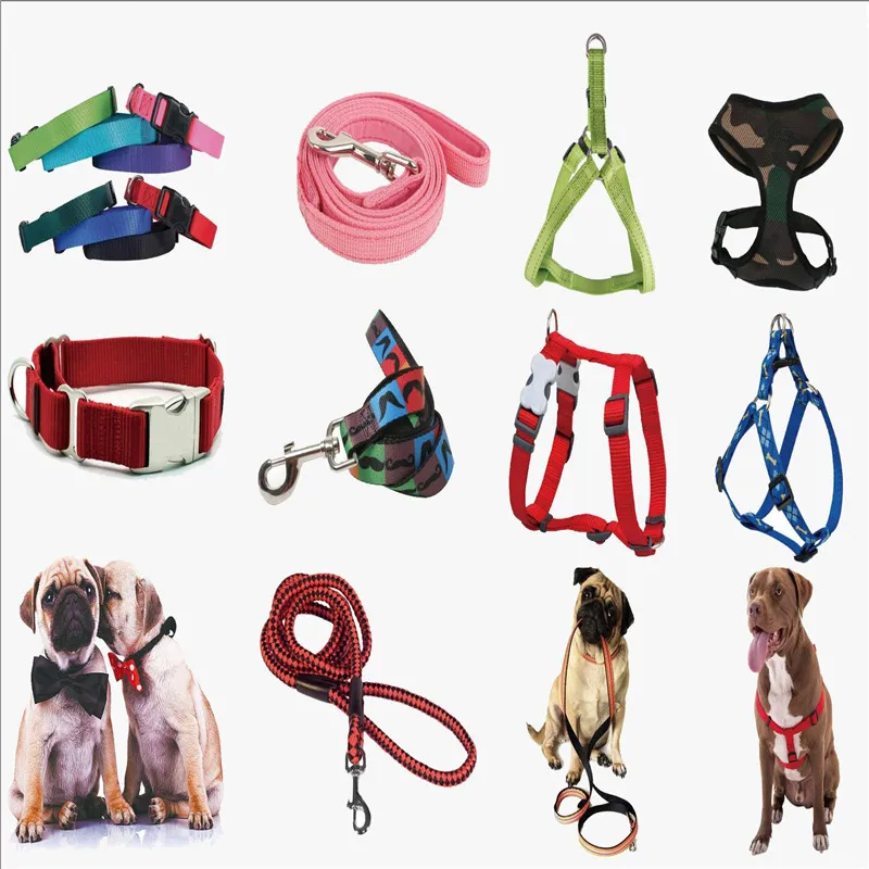 Collar and Leash Set