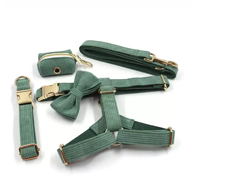 Dog Collar Collection 3