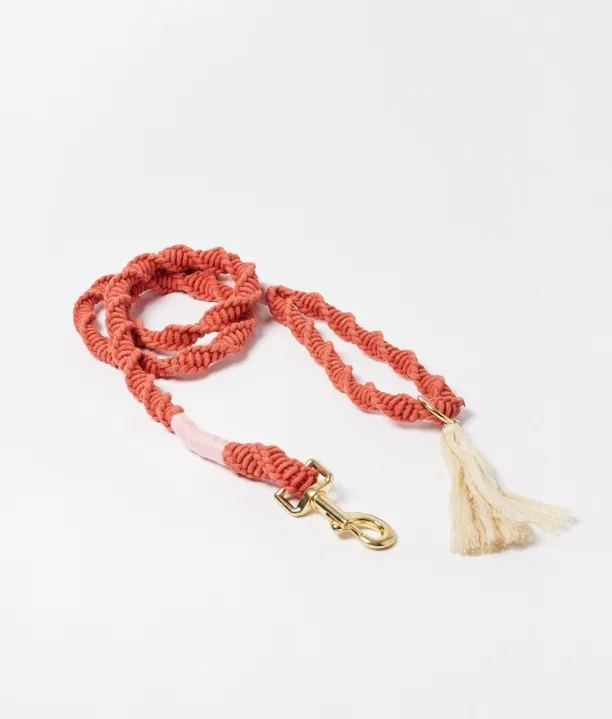 Macrame Dog Leash Detail