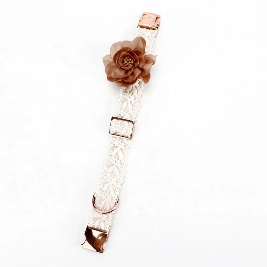 Metal Buckle Dog Collar