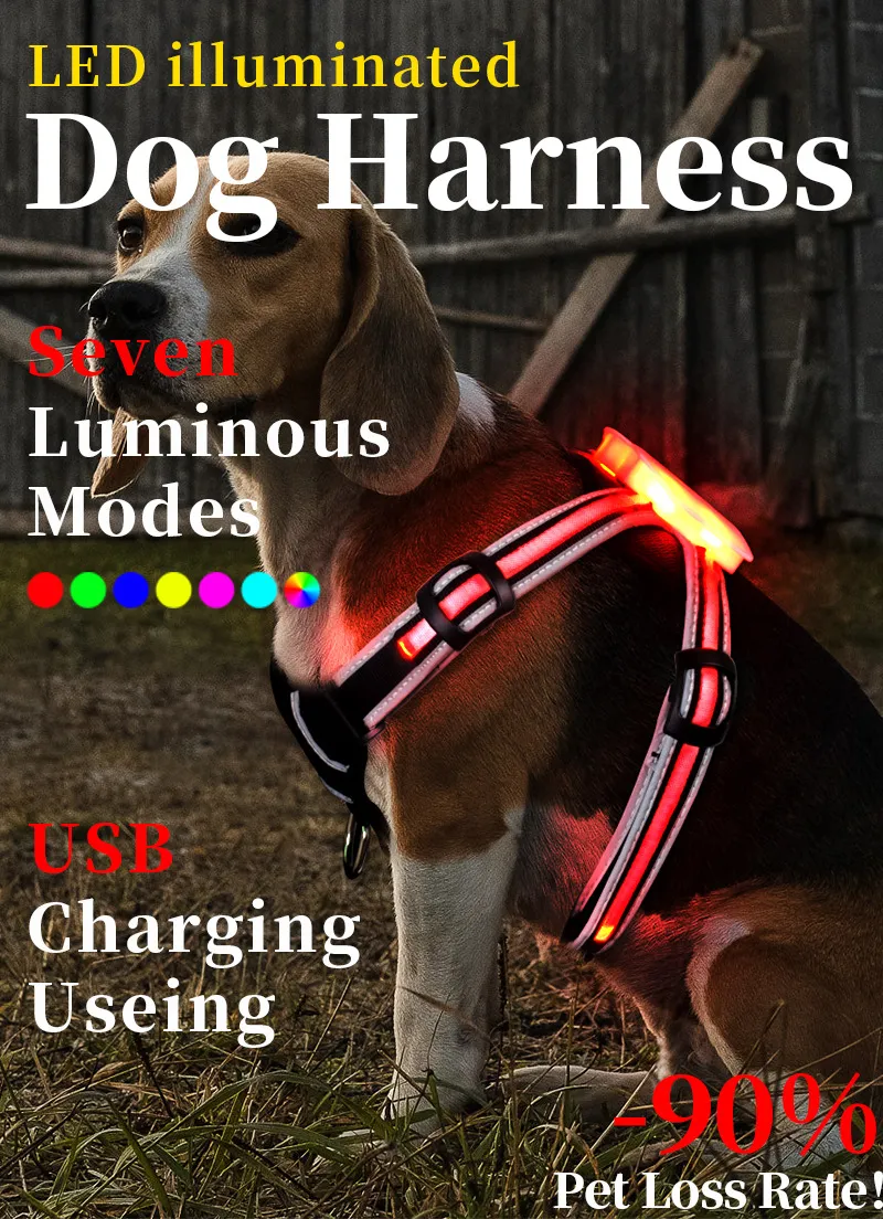 LED Dog Collar Detail