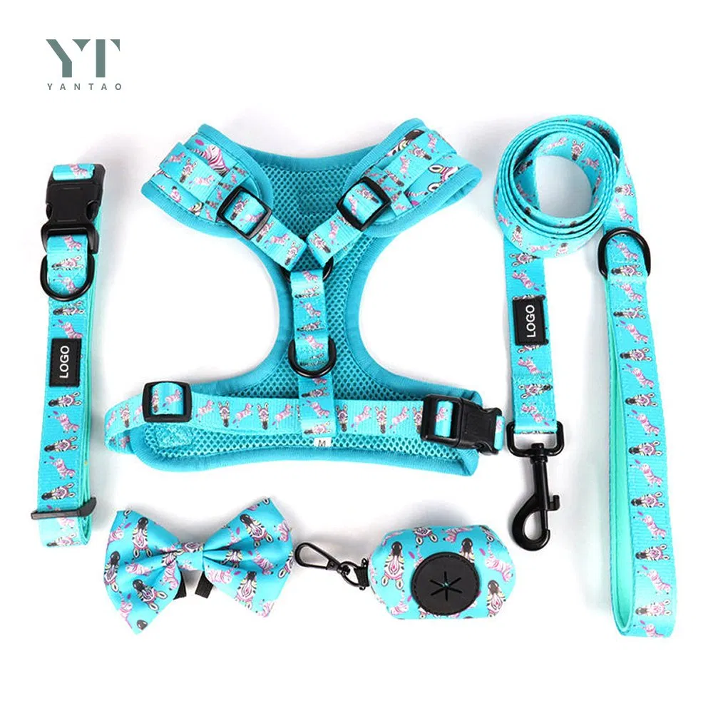 Pet Supplies Neoprene No Pull Harnesses Custom Luxury Pet Accessories Collar Custom Printed Pet Harness and Collar with Dog Bandana