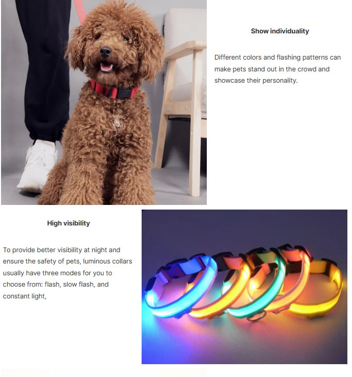 Bright &amp; High Visibility Light up Dog Collar USB Rechargeable Pet Light Collar