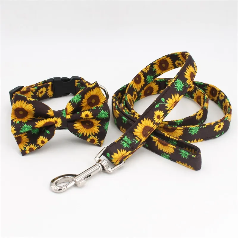 Pet Collar Set