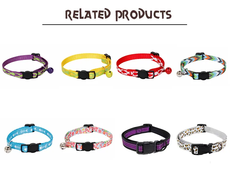 Related Pet Training Accessories