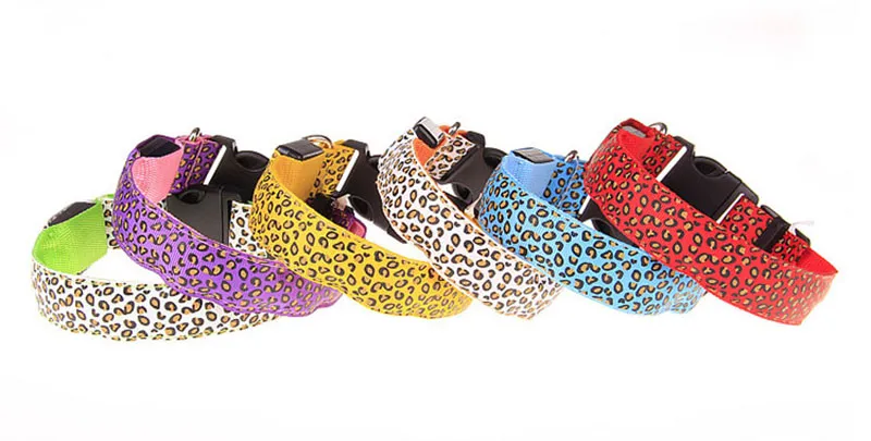 LED Dog Collar Detail