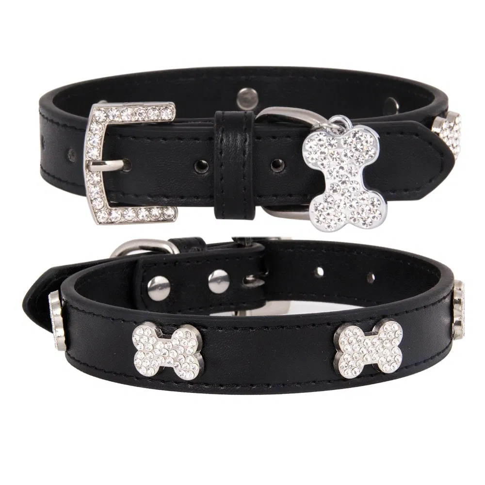 Designer Dog Collar 1