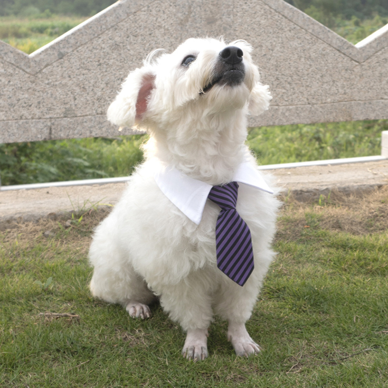 Wholesale Adjustable Pet Ties Dog Cat Collar Neck Tie Dog Cotton Bow Ties