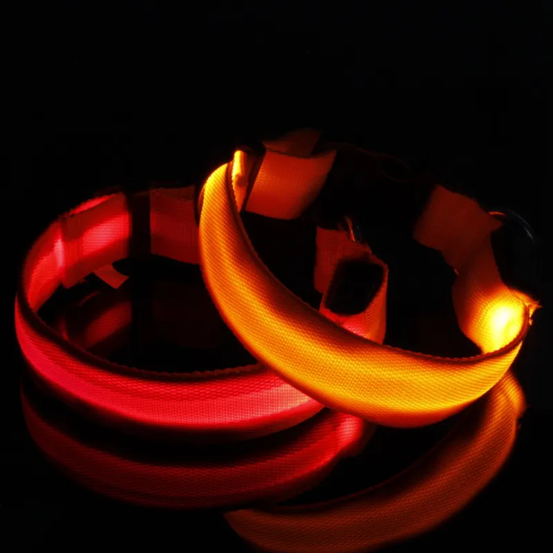 LED Collar 4