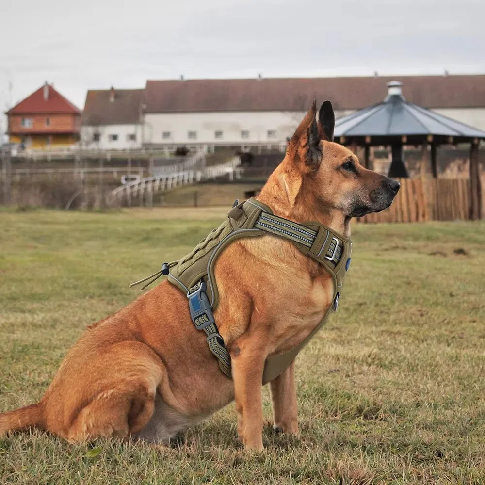 Tactical Dog Harness 9
