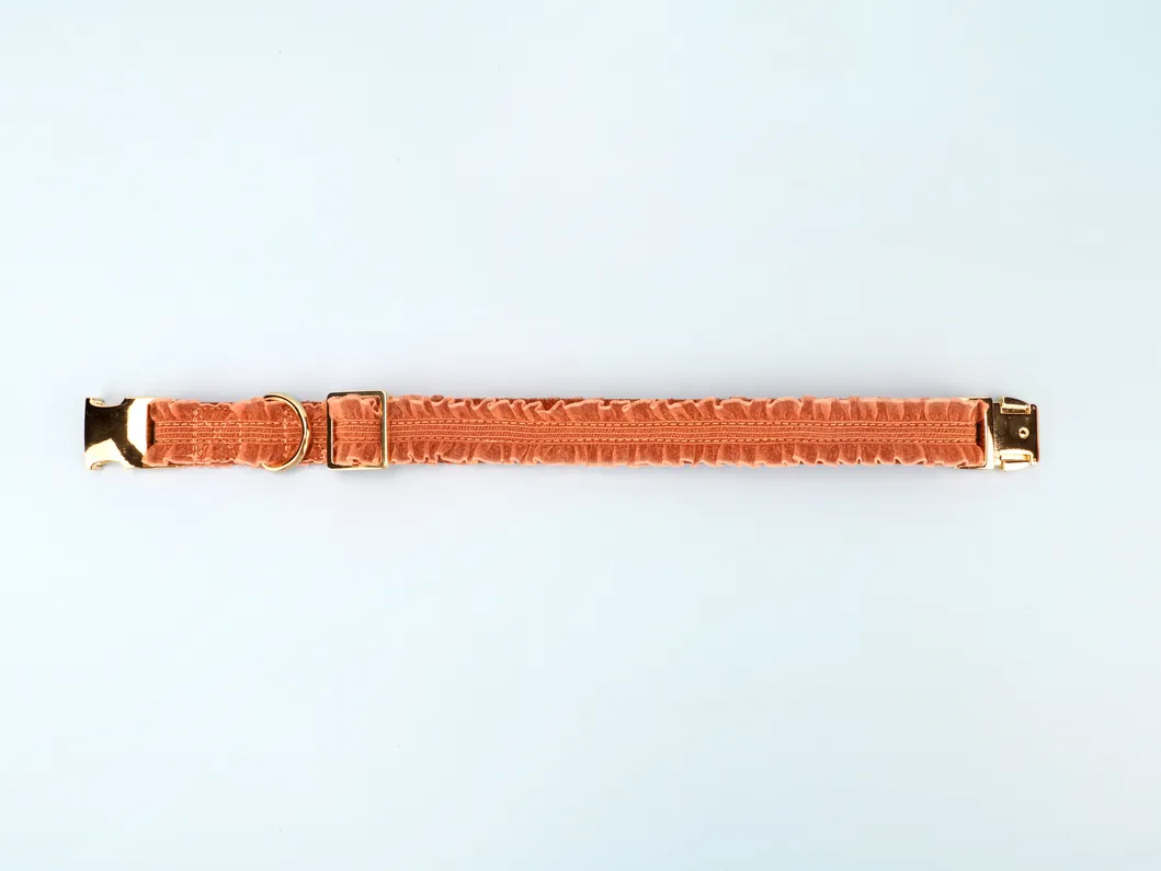 Lace Dog Collar Detail 5