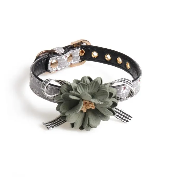 Elegant Pet Collar Design