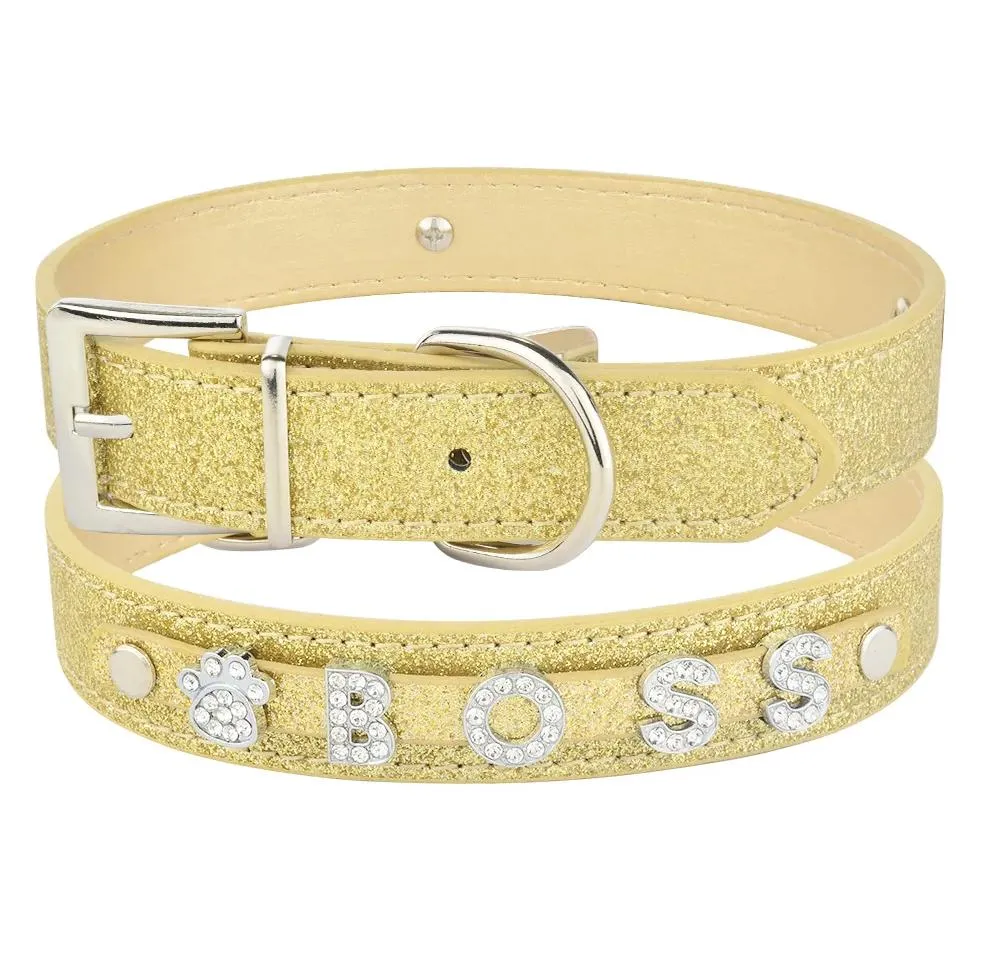 Personalized Dog Collar 3