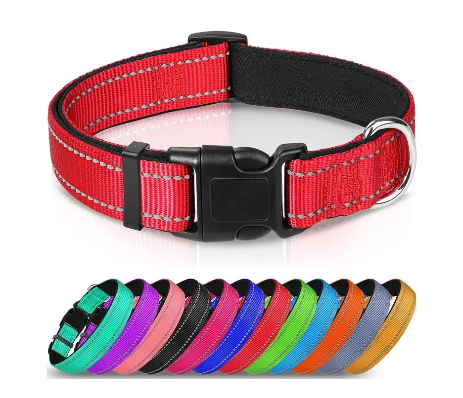 Reflective Dog Collar 5