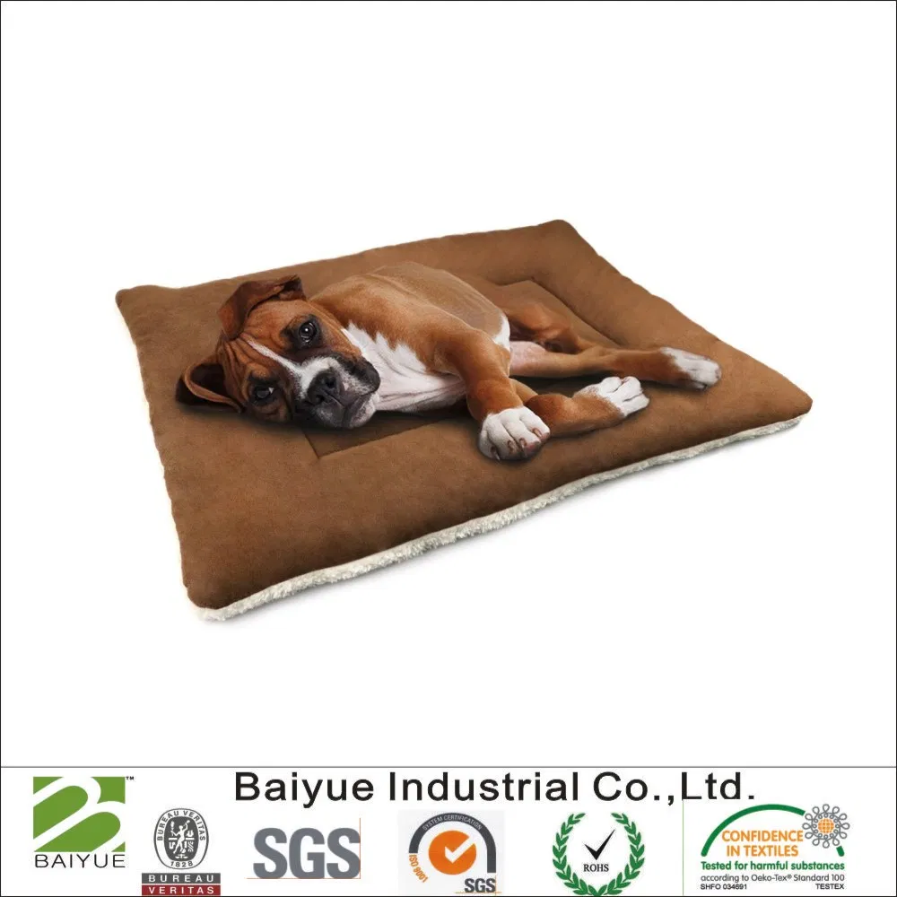 Cozy Heated Pet Bed Mat for Indoor and Outdoor Comfort