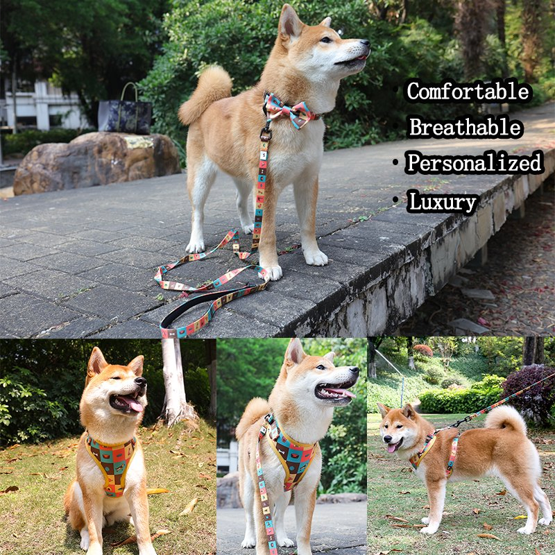 2021 Pet Dog Harness Set Padded Soft Puppy Collar Leash and Harness/Pet Toy