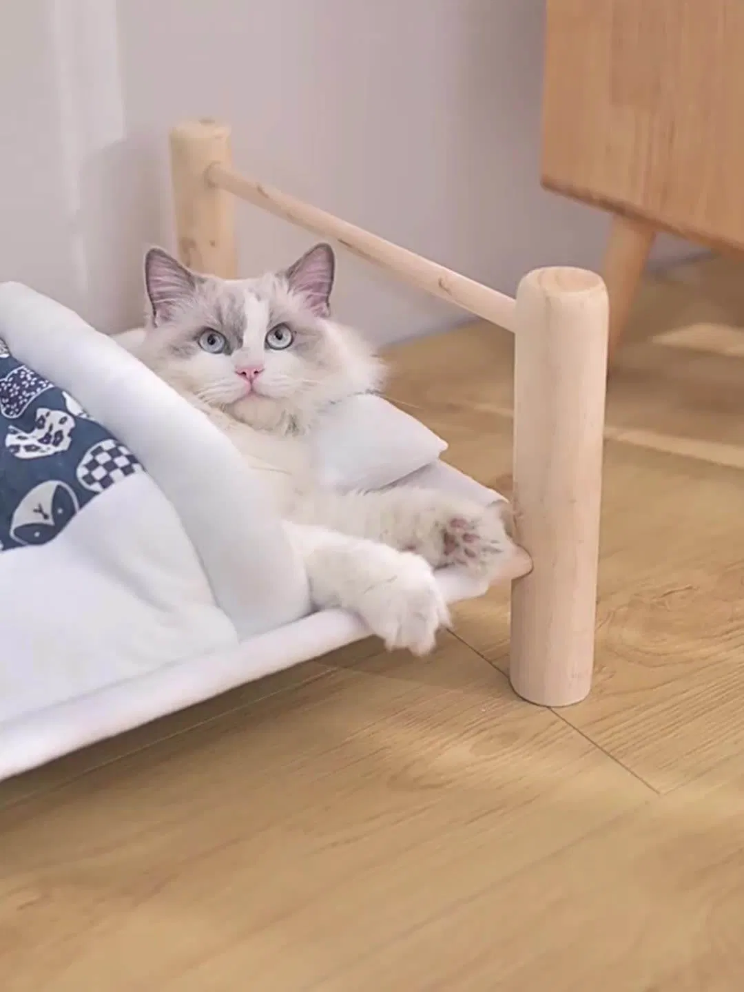 New Arrival Portable Fully Removable Washable Cotton Pet Dog Raised Bed