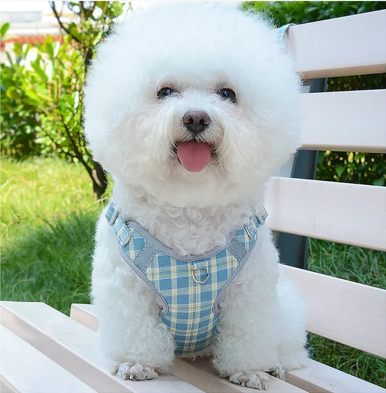 Fashion Cotton Pet Harness