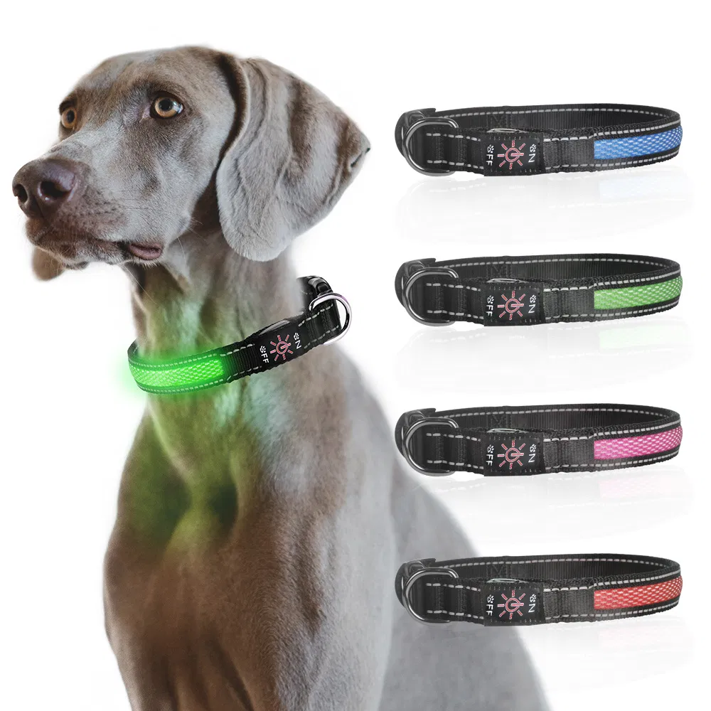 LED Light-Emitting Pet Dog Collar