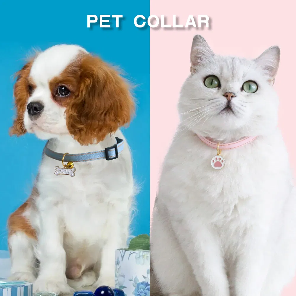 Candy Color Pet Collar Set - Avocado Dinosaur Pendant Safety Breakaway Cat Dog Collar