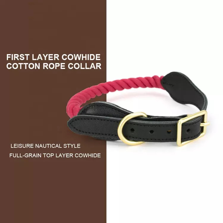 Leather Dog Charm Name Collar Metal Dog Collar and Leash Handmade Collar