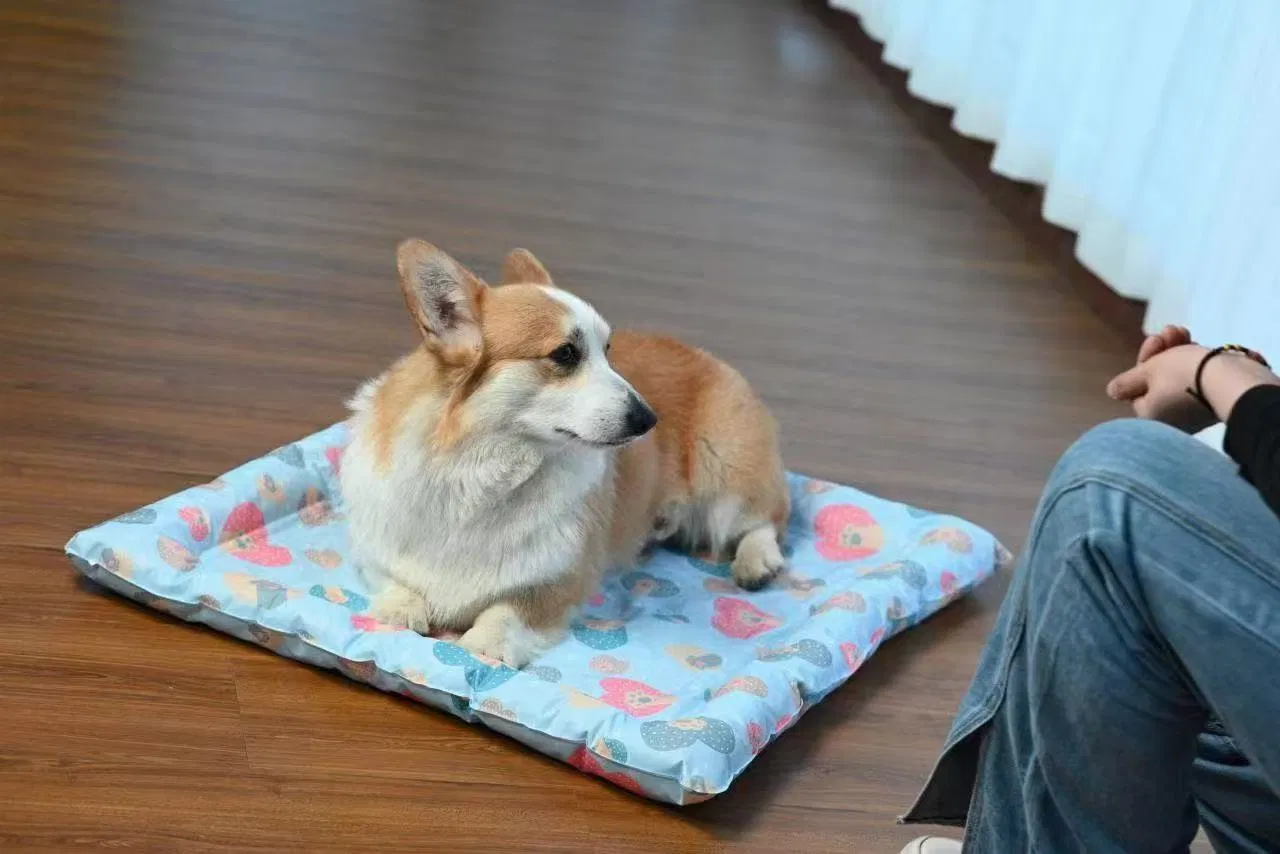 Pet Ice Mat for Dog and Cat Cooling Bed Blanket Sleeping Mat
