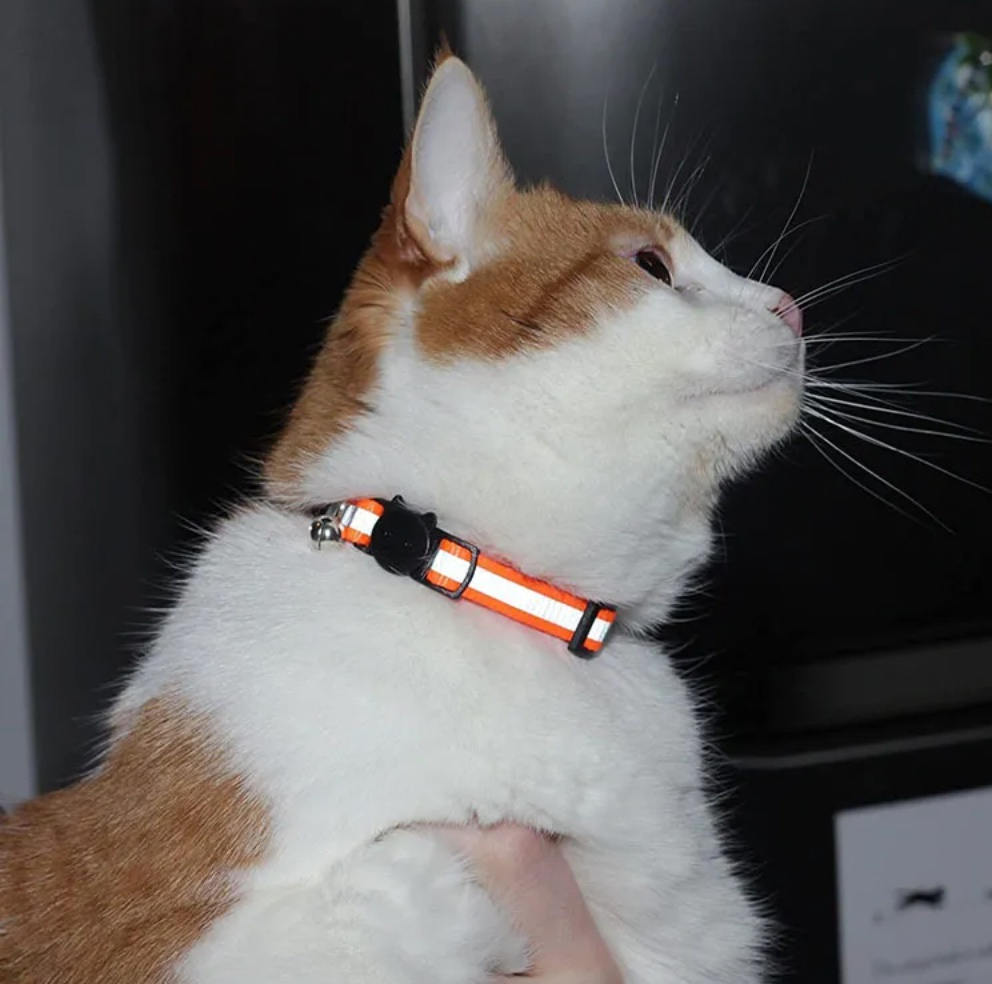 Hot Selling Breathable Dacron Cat Ear Style with Reflective Bell Adjustable for Pet Cats