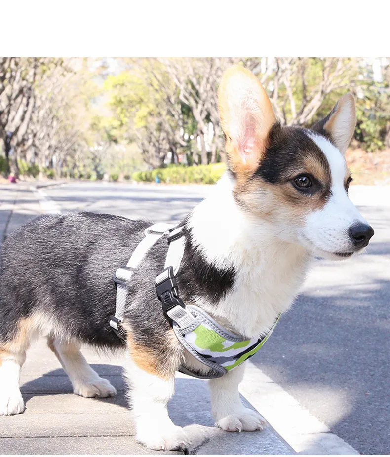 Reflective Escape-Proof Dog Harness Details 6