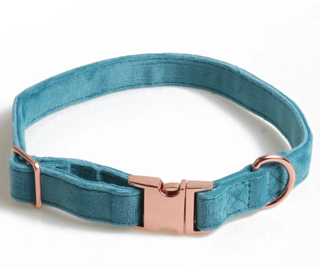 White Bowknot Pet Gear