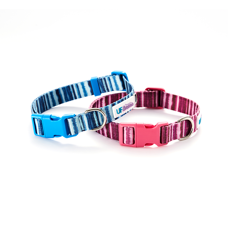 Hot Sale Polyester Color Quick Release Buckle Pet Collar Dog Collar