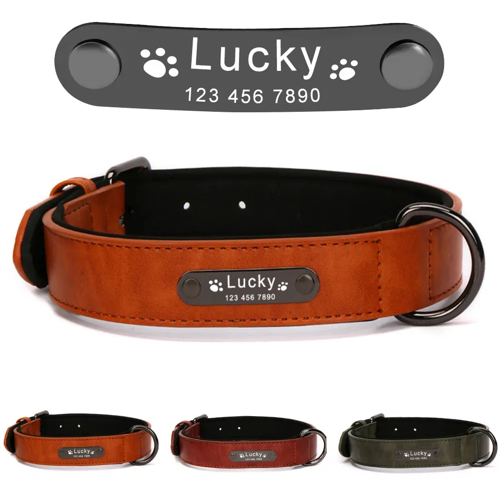 8 Colors Personalized Leather Dog Collar, Durable Pet Accessories for Pitbull &amp; Medium Large Dogs