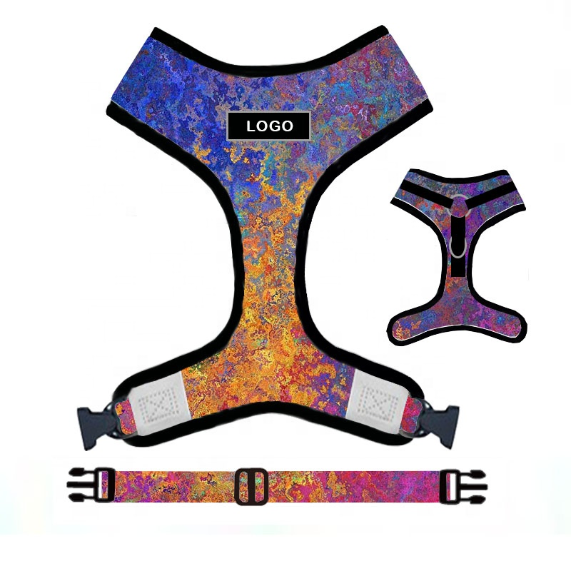 Wholesale Co-Friendly Halloween Decoration Soft Chinos House Training Dog Vest Pet Harness