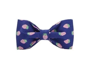 Pet Bowtie View 2