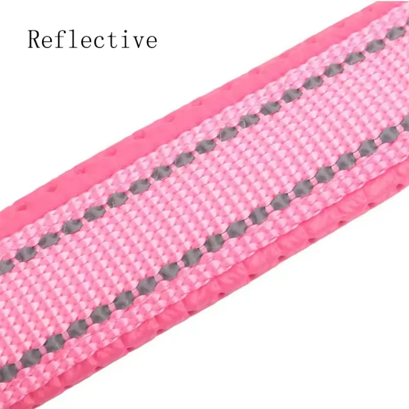 Reflective Collar View 3