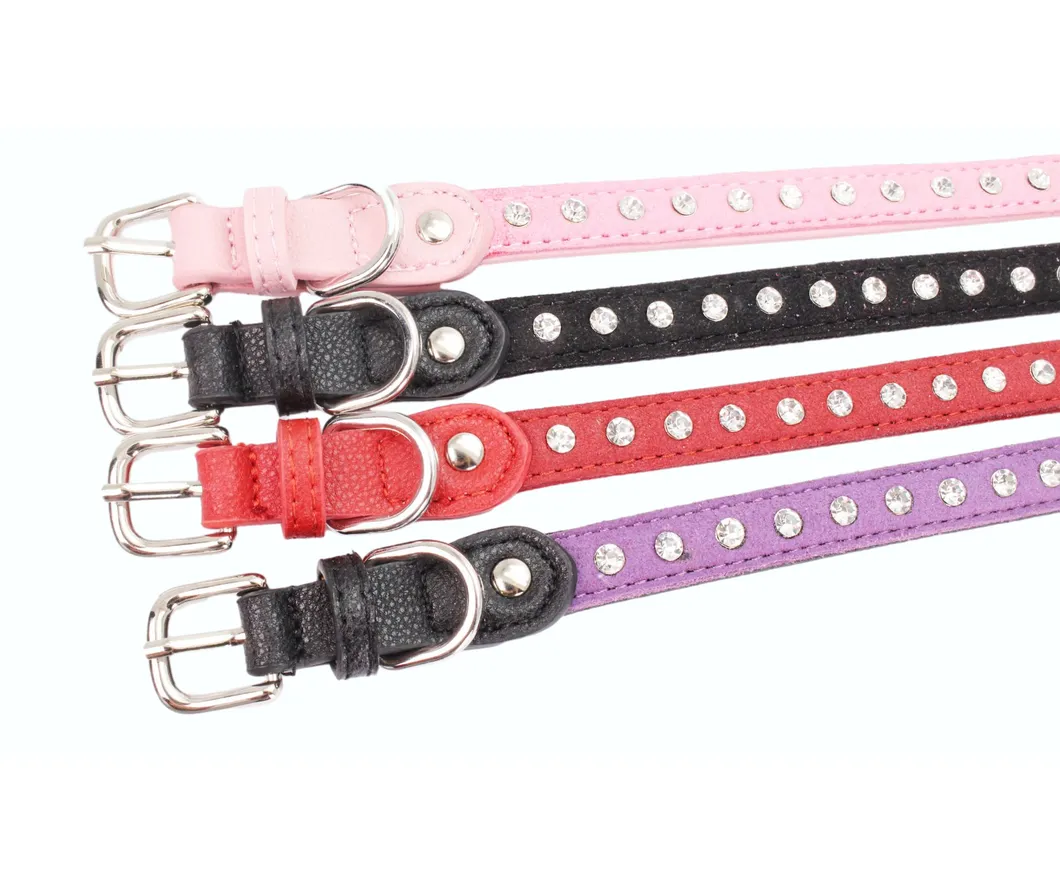 Dog Collar View 12