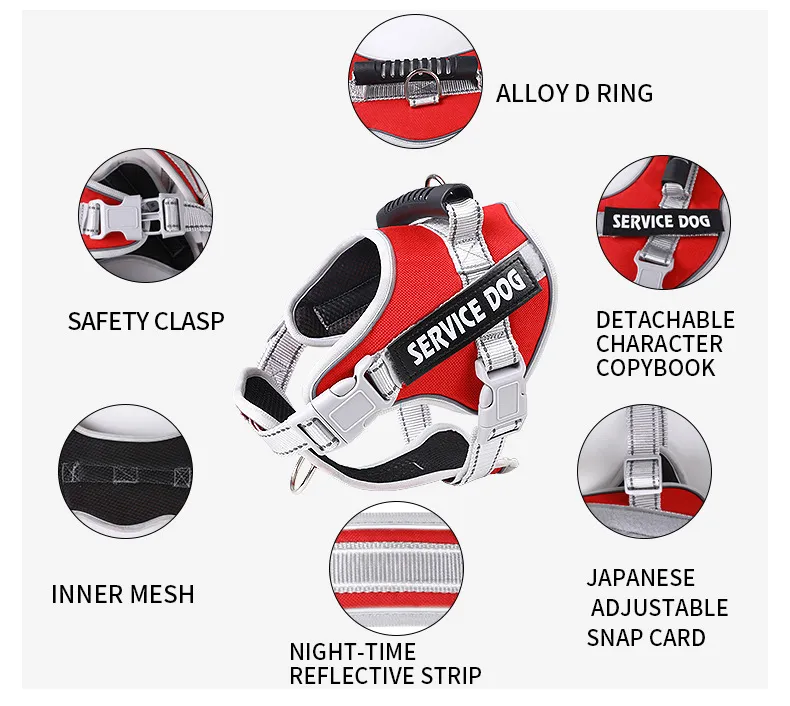 Dog Harness Side View