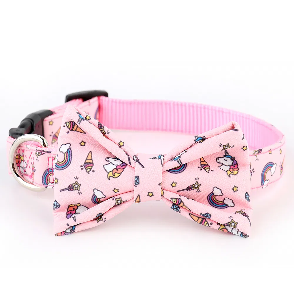 Dog Collar Detail 3