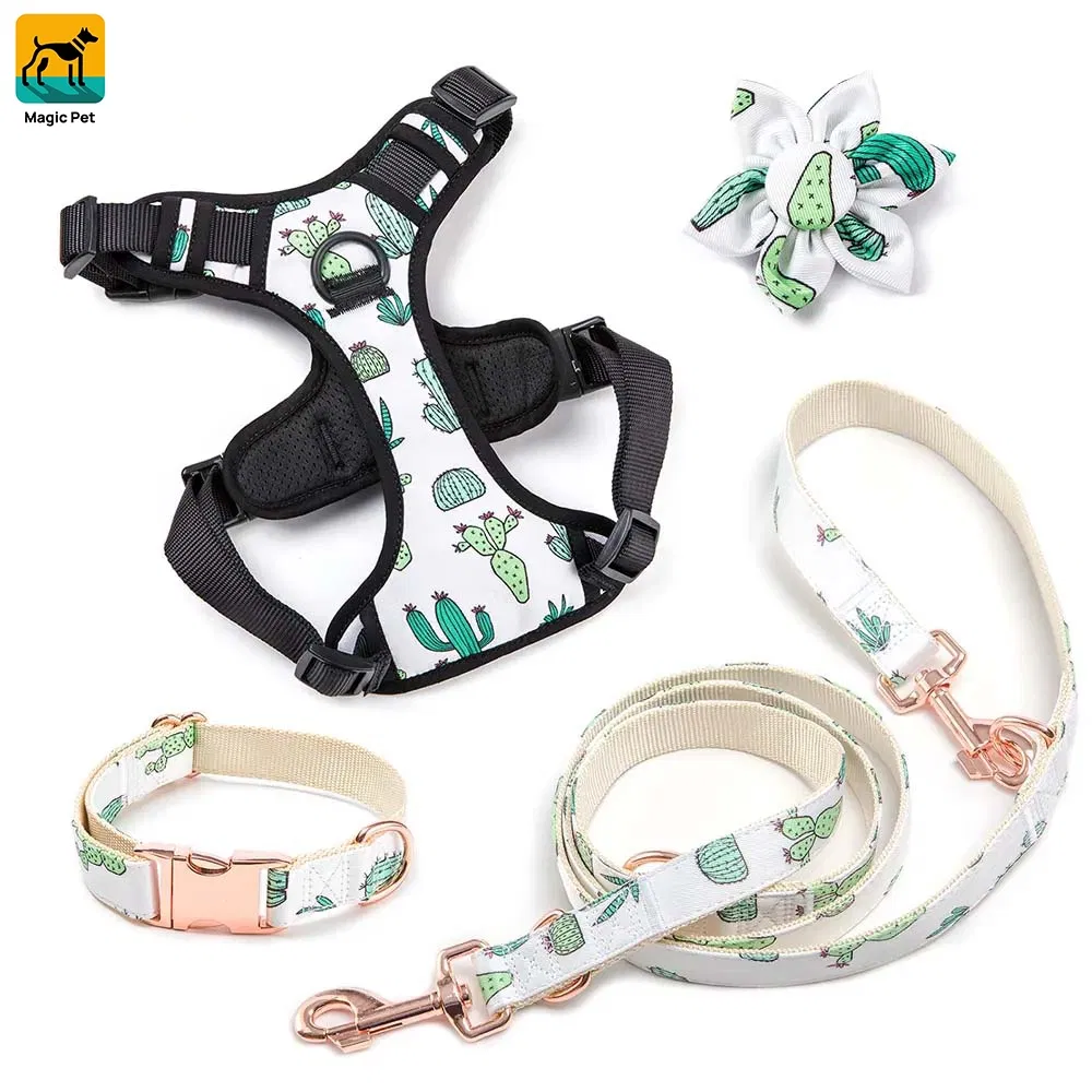 Dog Harness Detail 1
