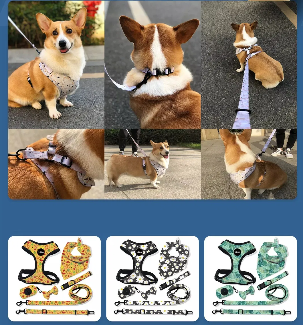 Dog Harness Detail 20