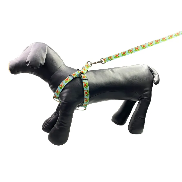 Dog Harness 2