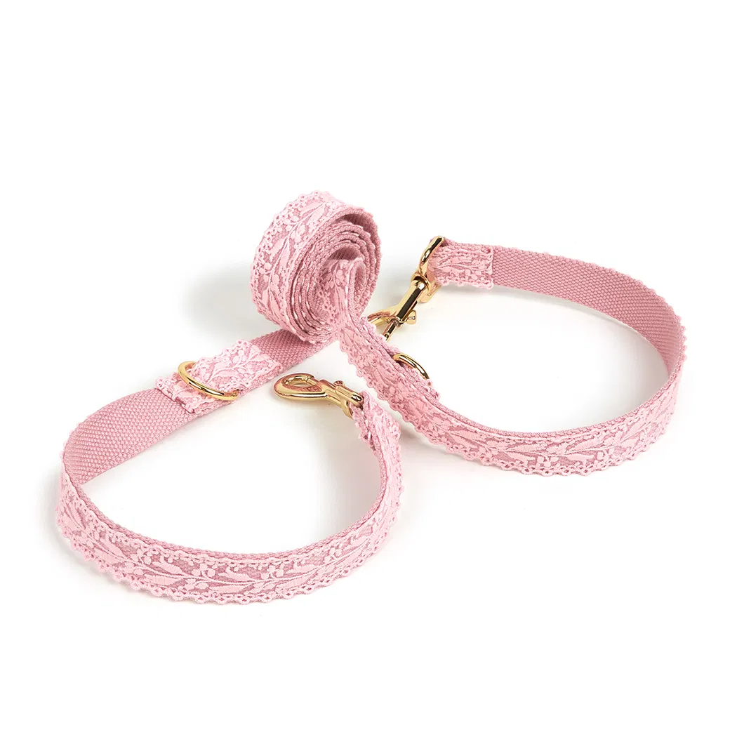 Dog Collar Detail 13