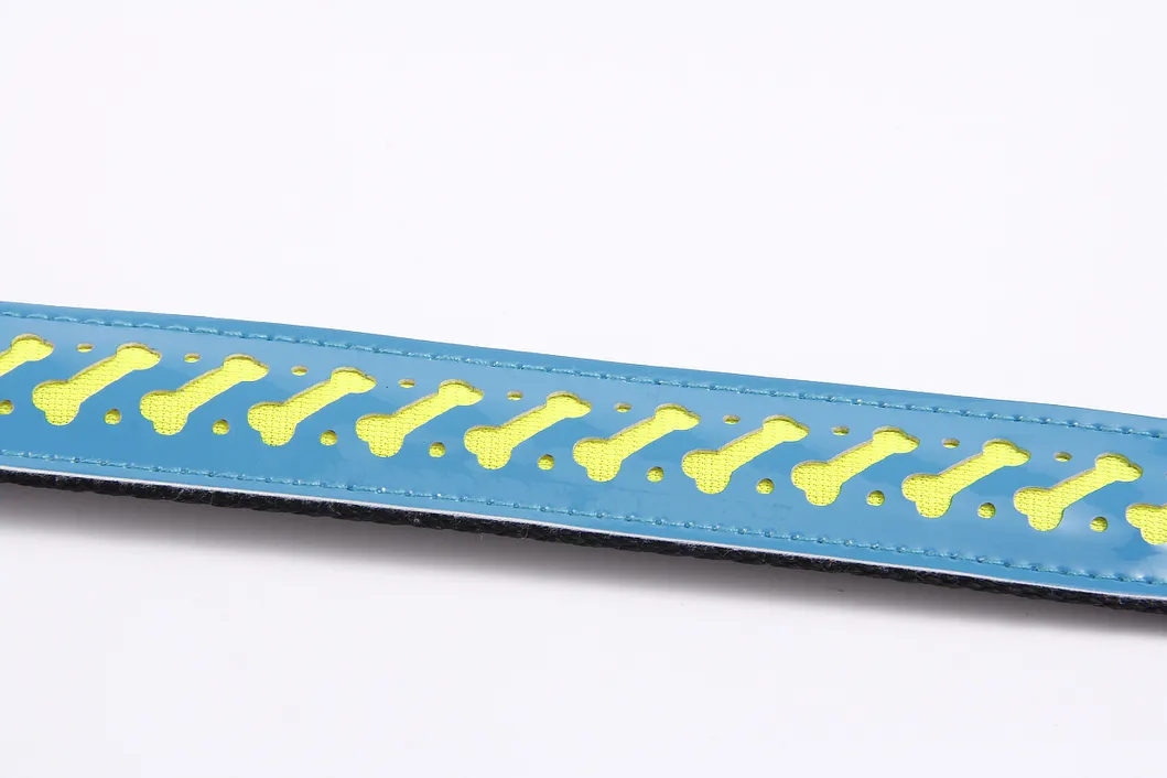 LED Flashing Dog Collar Details