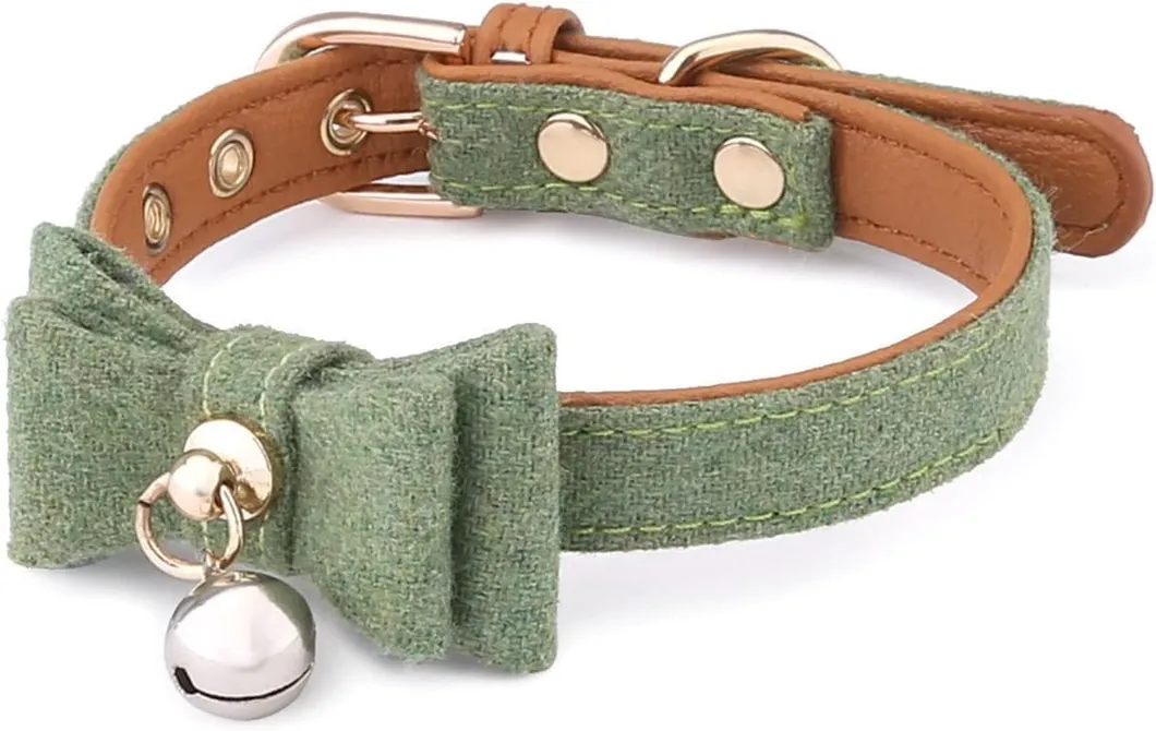 Pet Collar Display 1